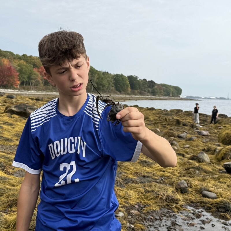 A student inspects a green crab