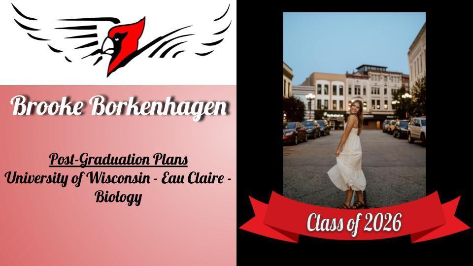 Brooke Borkenhagen Senior Picture