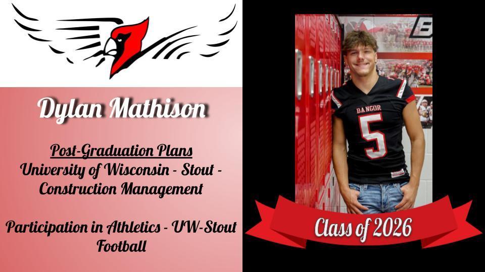 Dylan Mathison Senior Picture