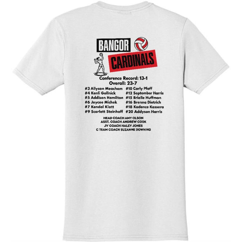 Scenic Bluffs Conference Champs tshirt back