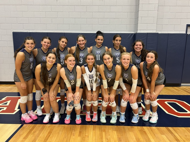 volleyball 