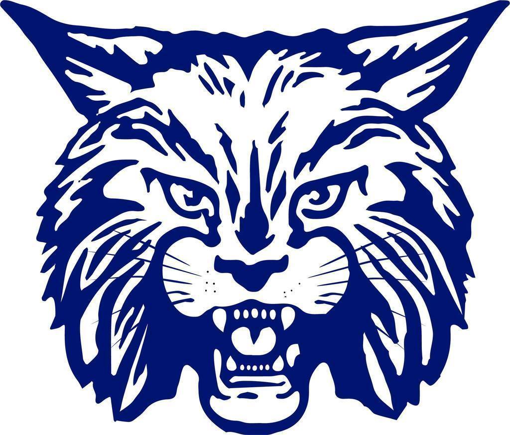 BOBCAT