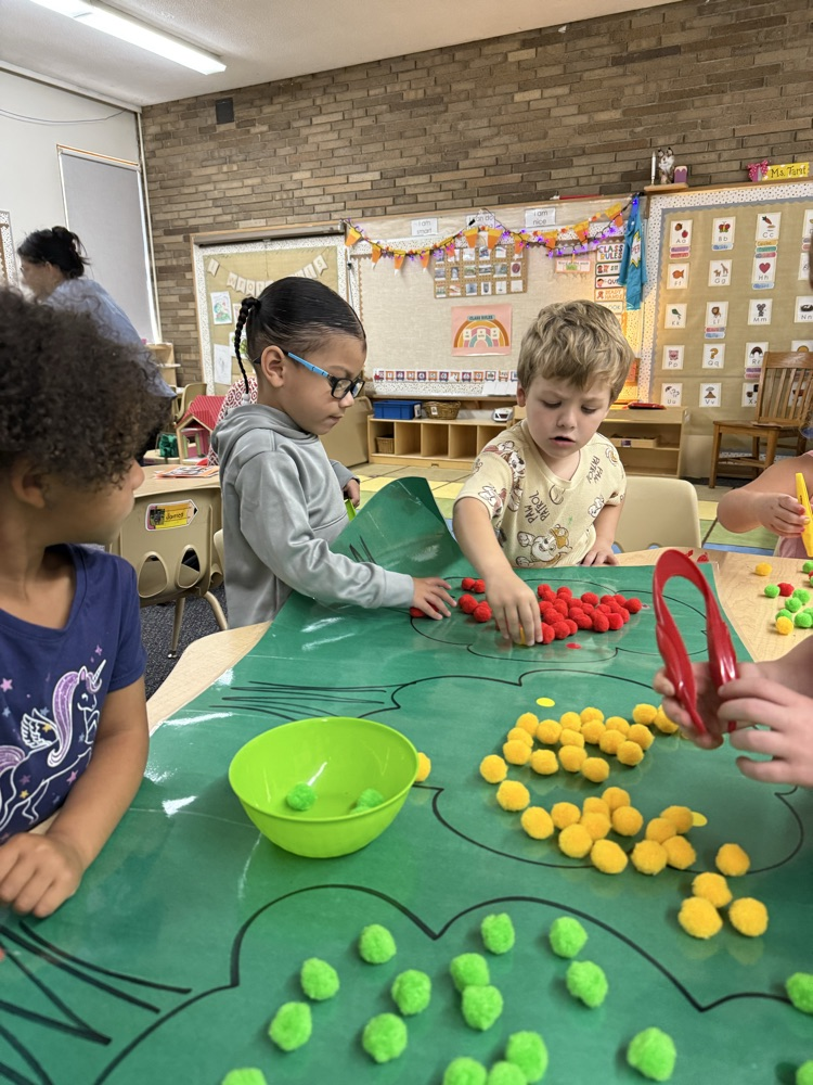 Picking and counting apples!