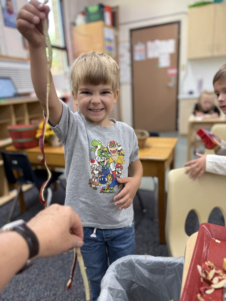 Look how long the apple peel is!