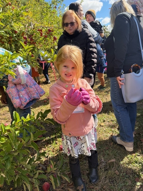 kid picking apples