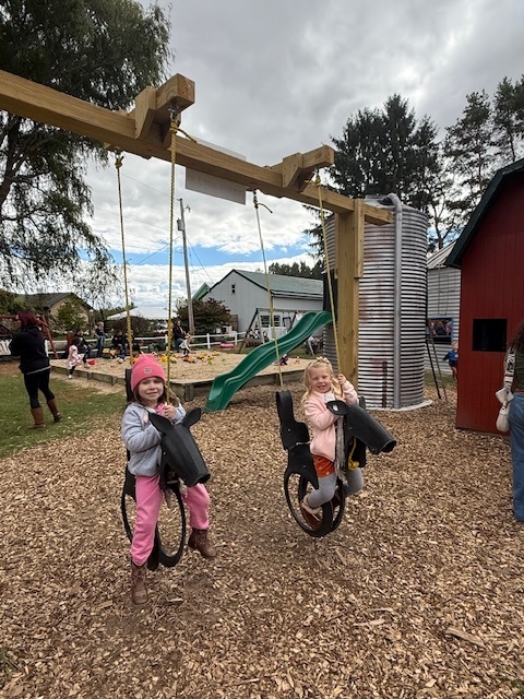 kids on swingset