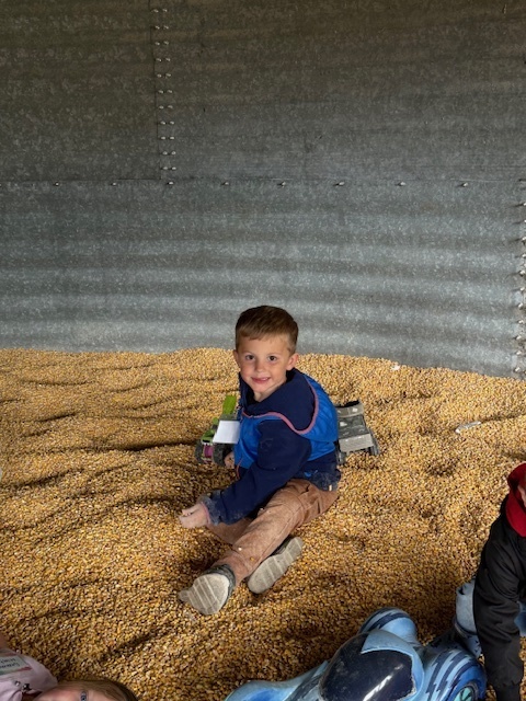kid in corn bin