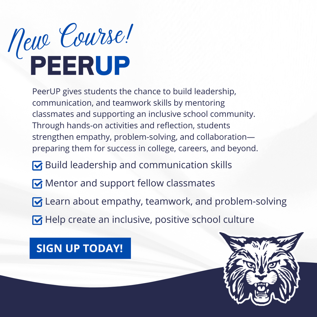peer up course description