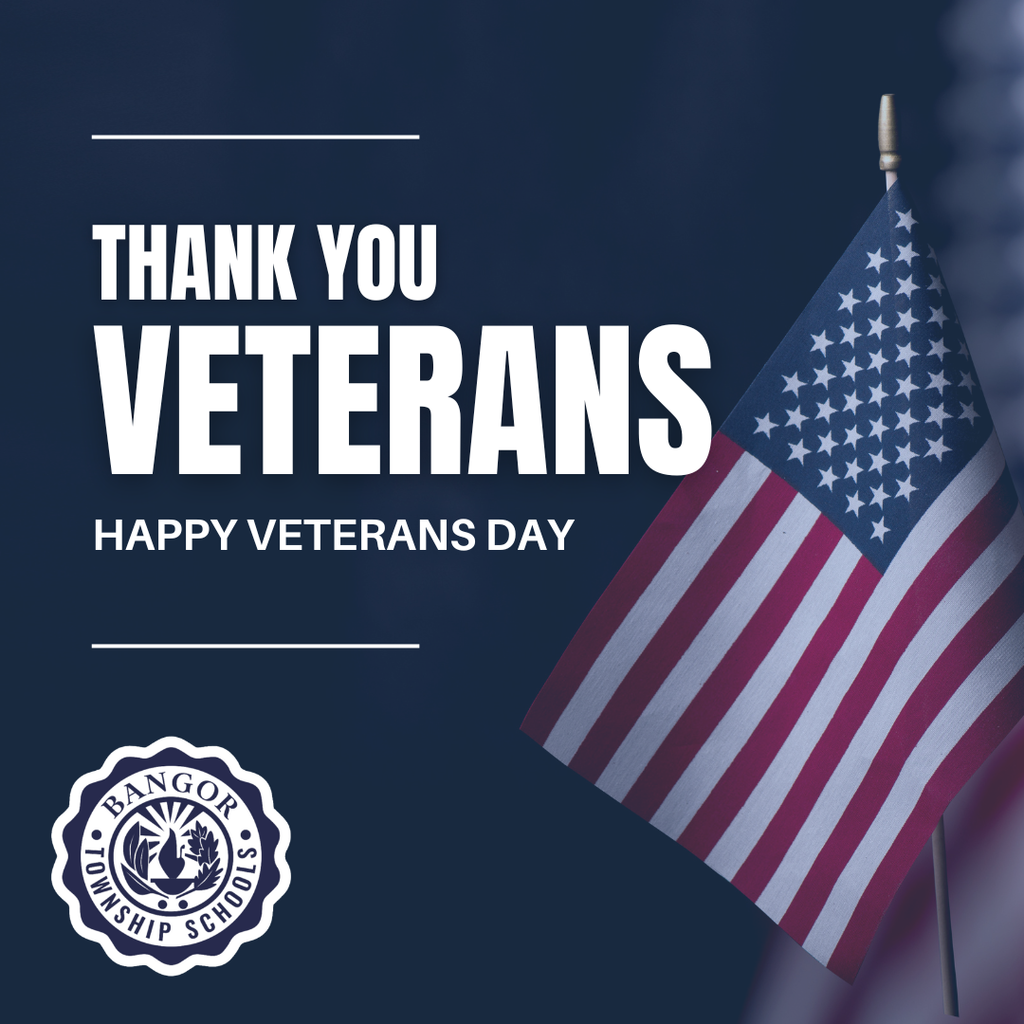 veterans day graphic