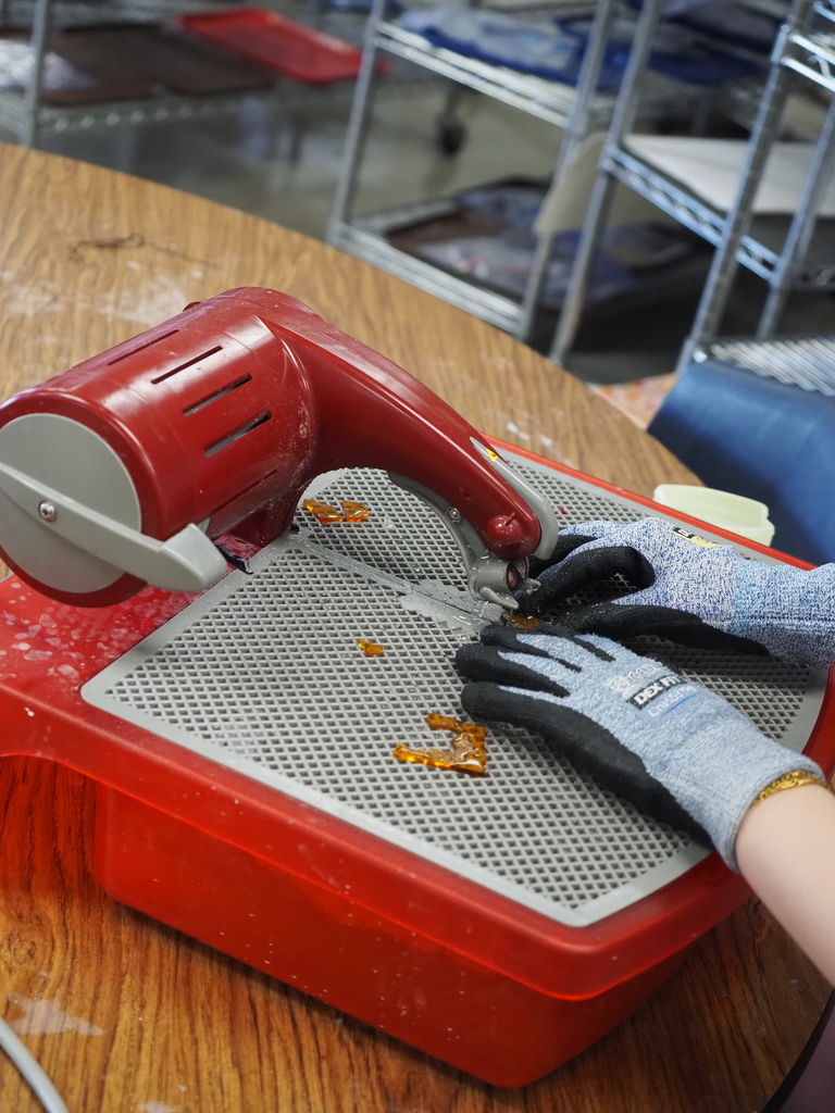 students cutting glass