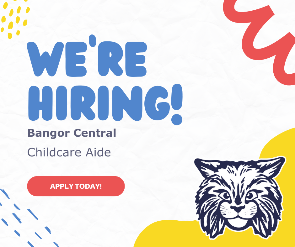 childcare aide