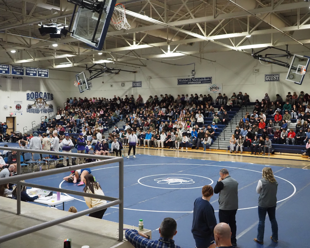 wrestling spectators