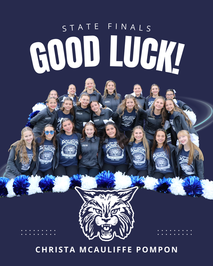 christa mcauliffe pompon
