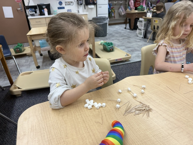 Concentrating building her house!