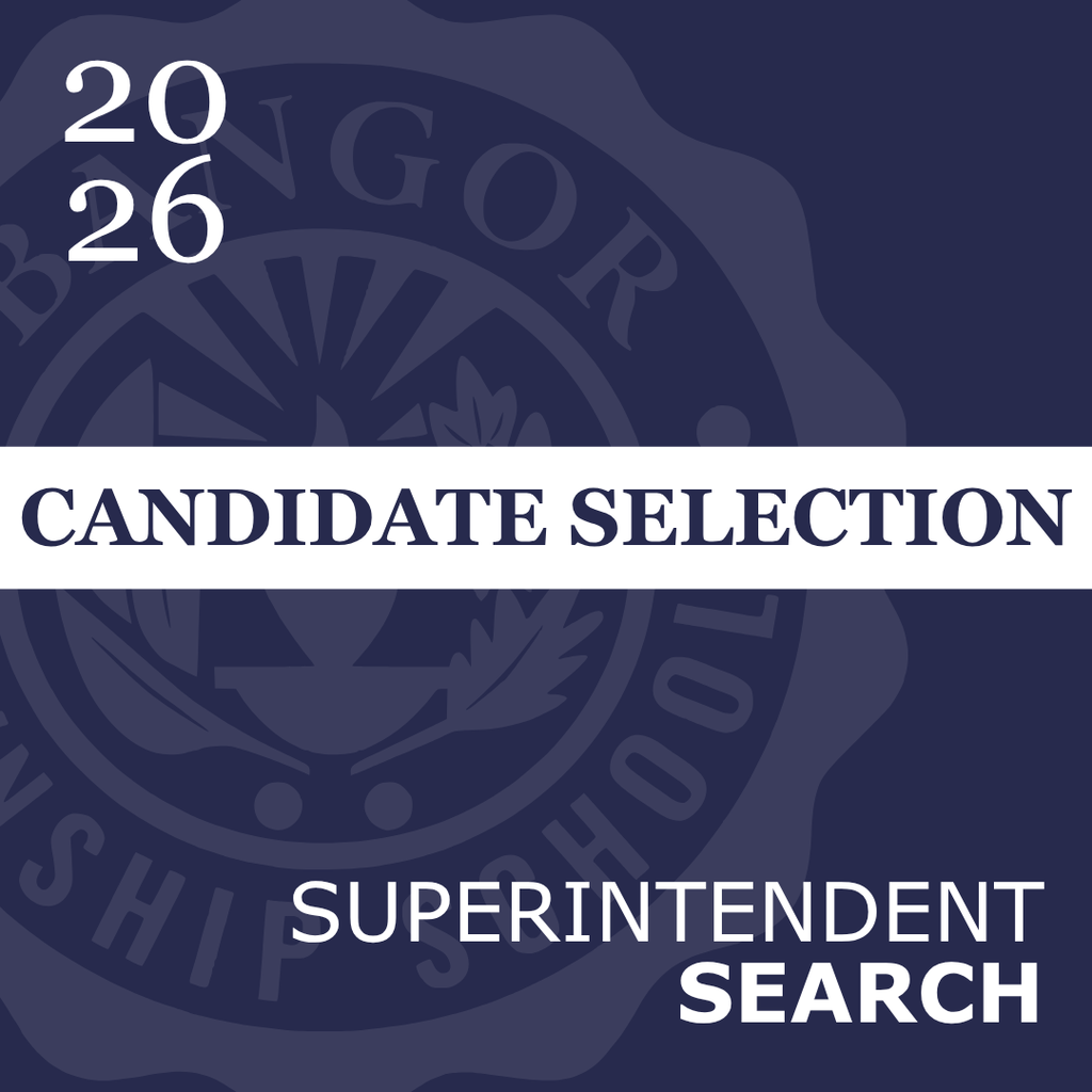 candidate selection 
