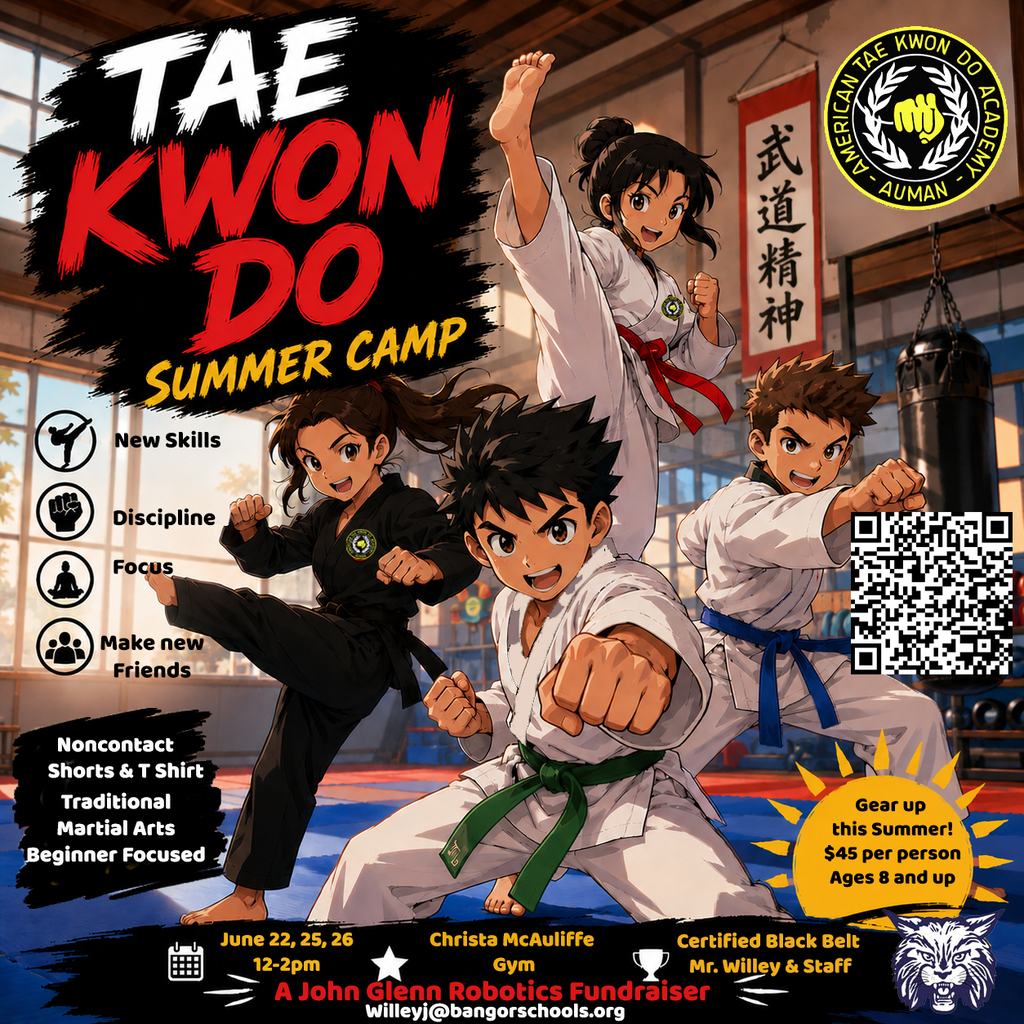 Tae Kwon Do Summer Camp