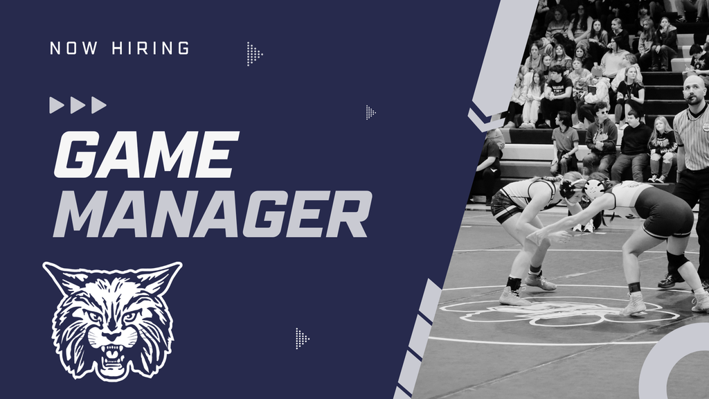 game manager promo