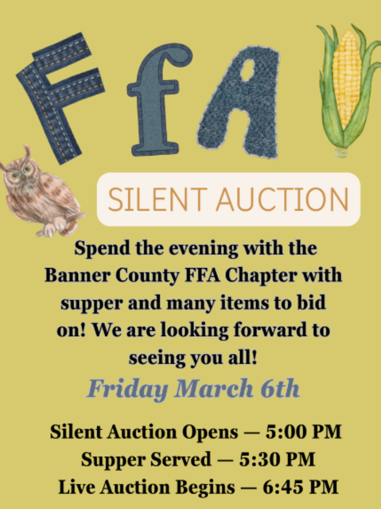 FFA Silent Action Details