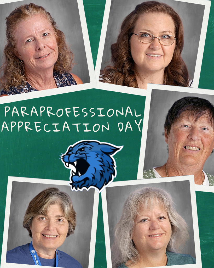 Group of Paraprofessionals 