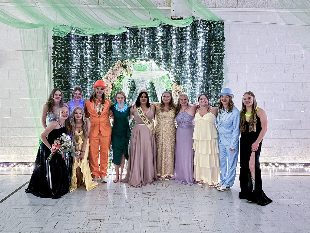 Group of girls at prom