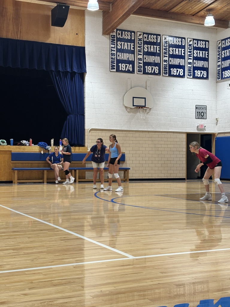 Girls playing volleyball
