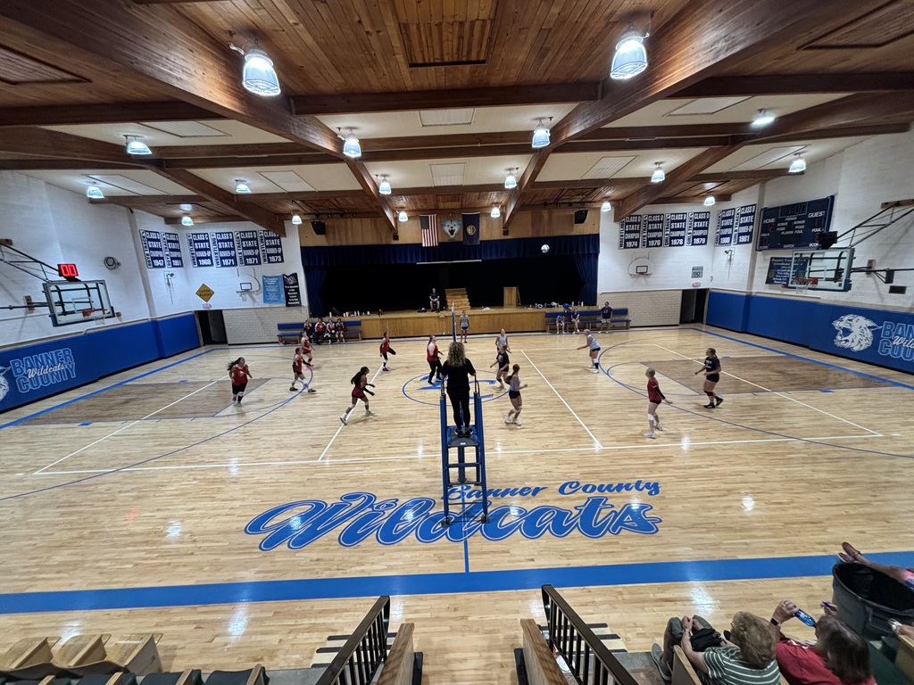 Girls playing volleyball