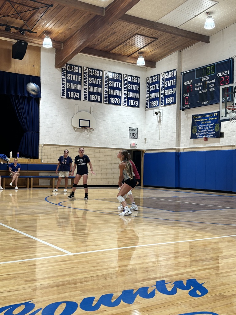 Girls playing volleyball