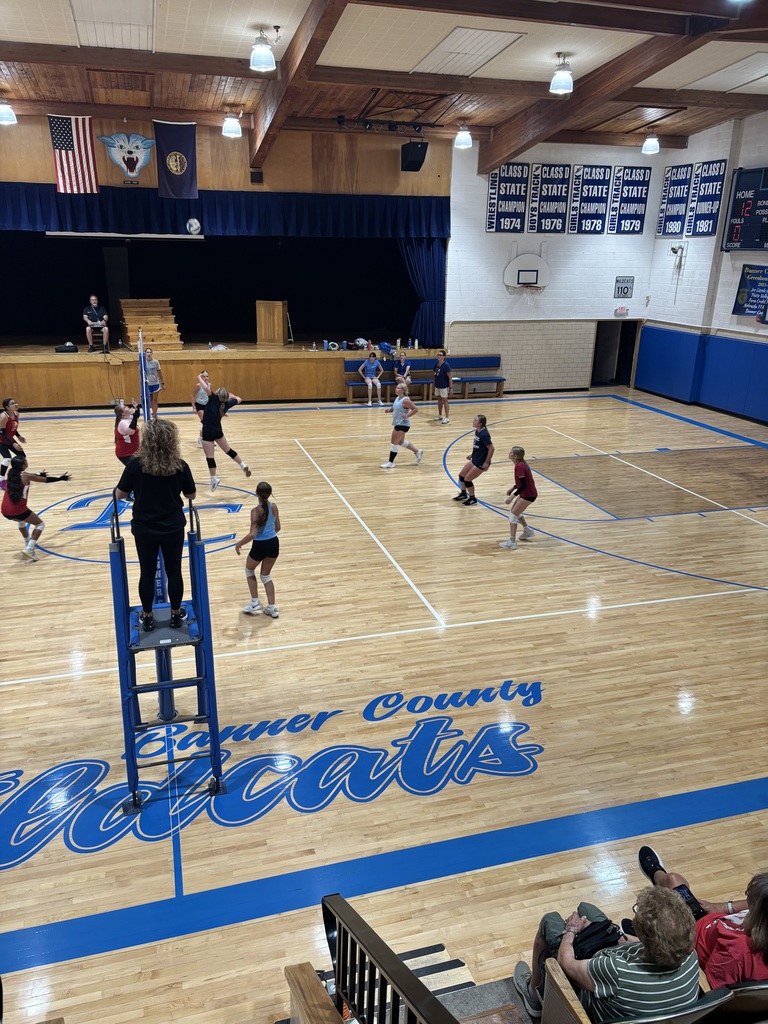 Girls playing volleyball