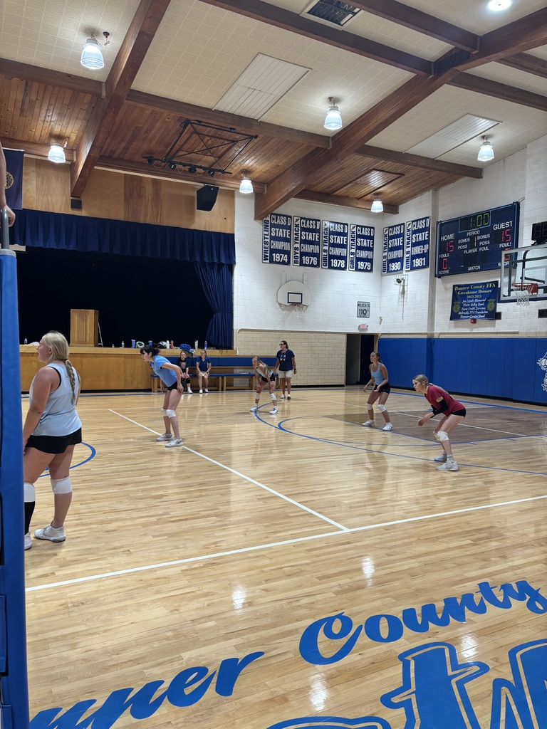 Girls playing volleyball