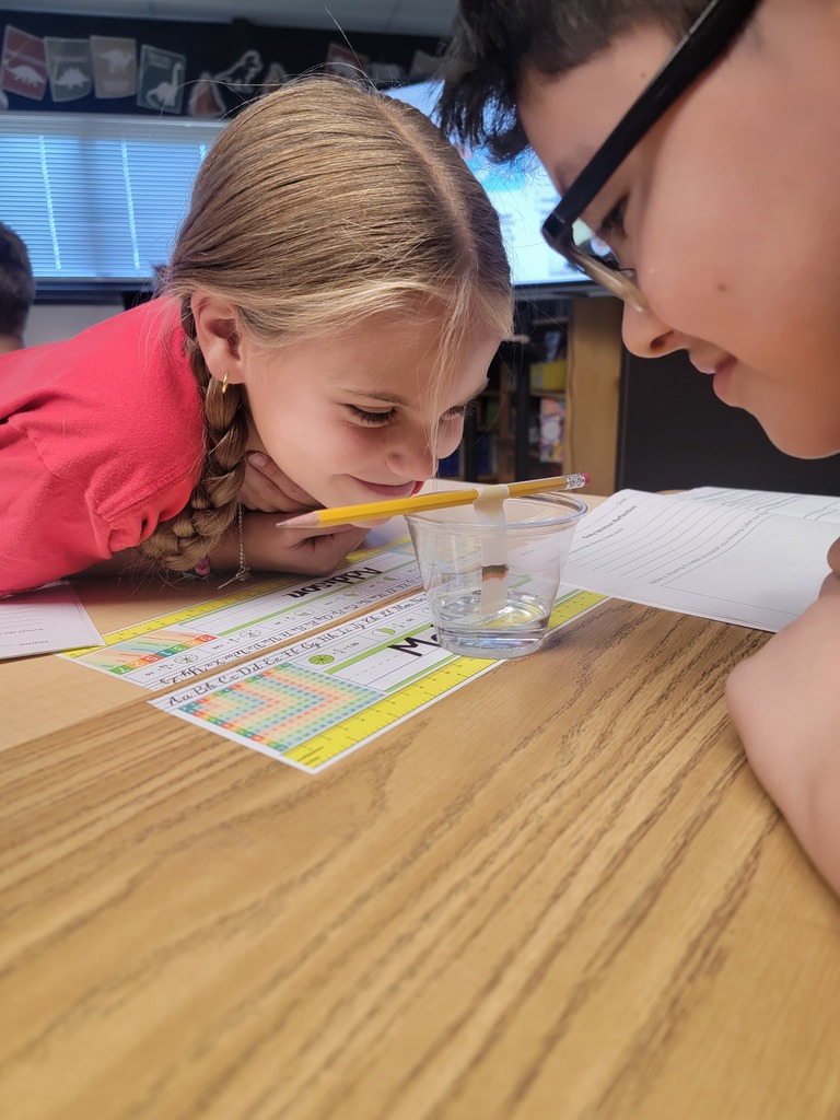 Students observing a science project