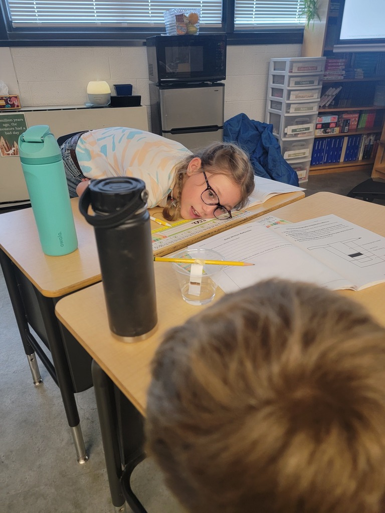 Students observing a science project