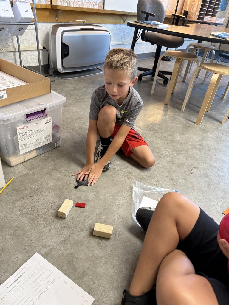 Students looking at blocks