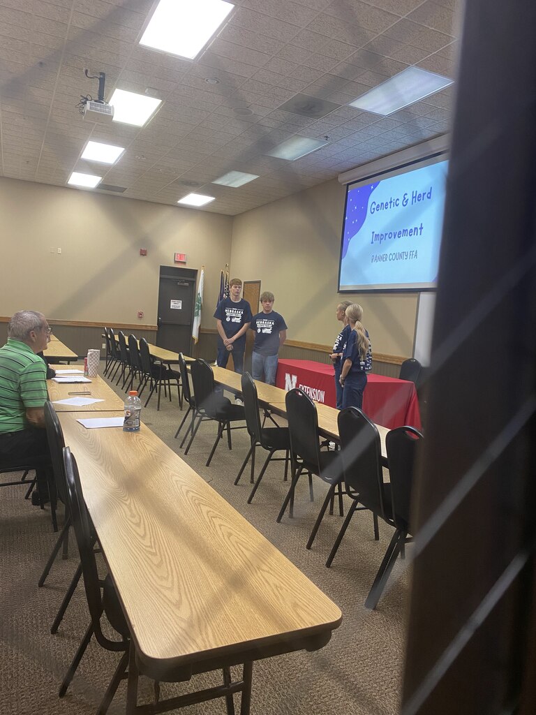 Students giving a presentation