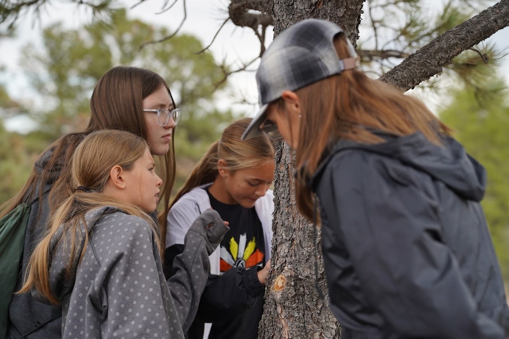 Students looking at a tree