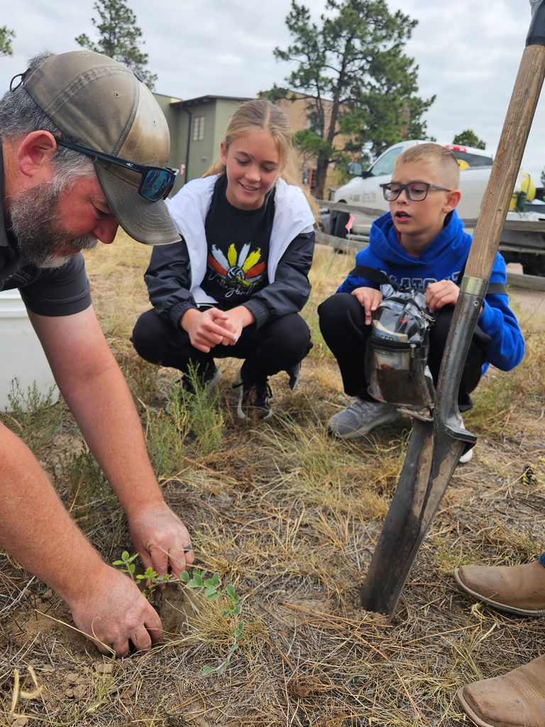 students planting a tree