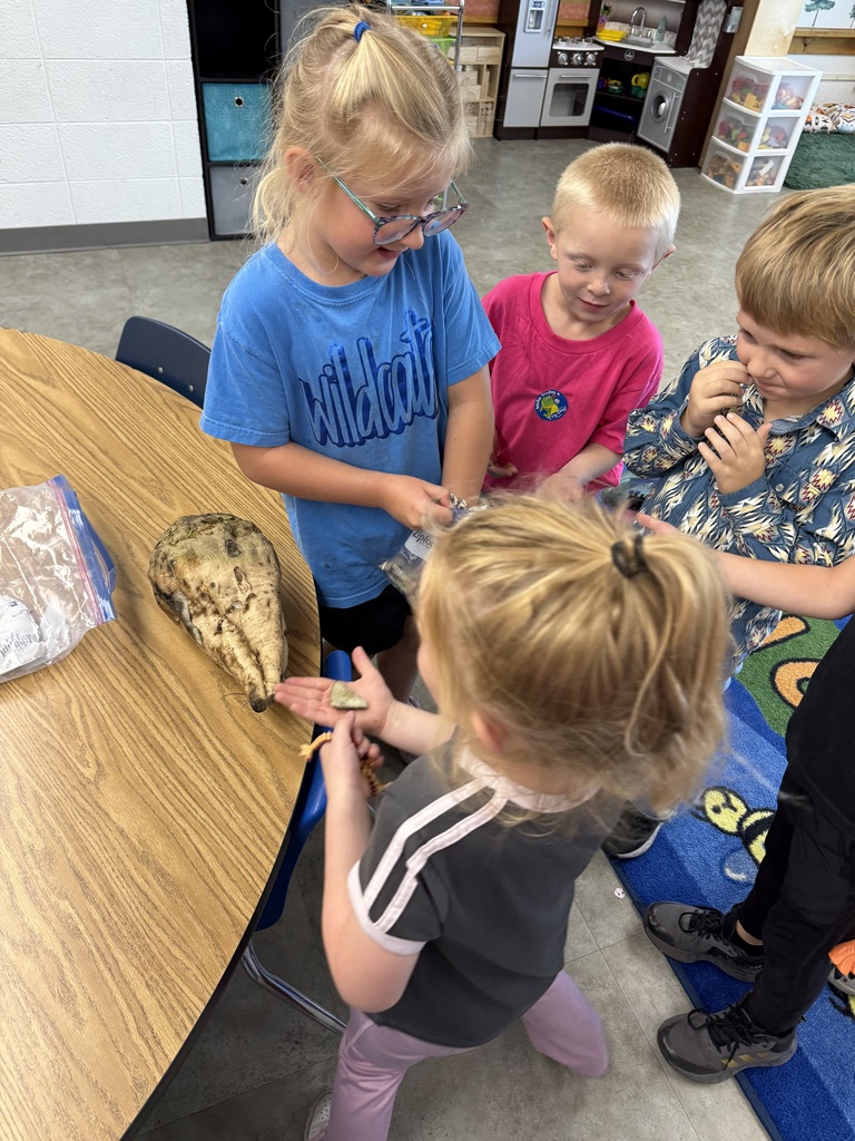 Kindergarten Show and Tell