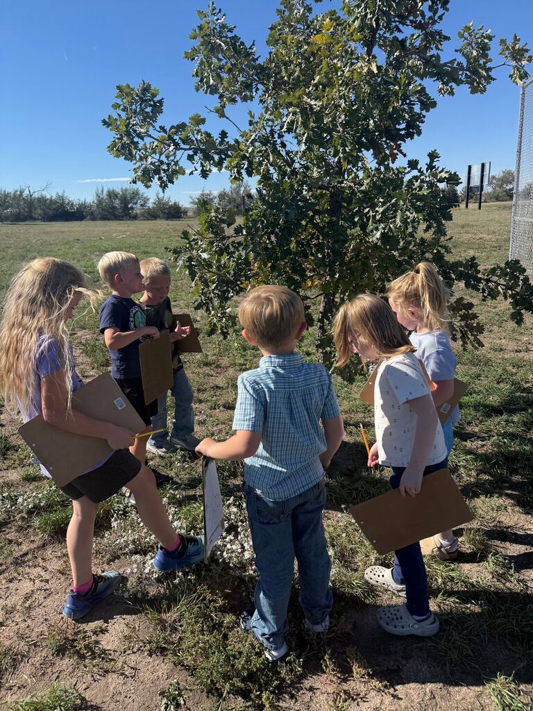 Kindergarten Leaves