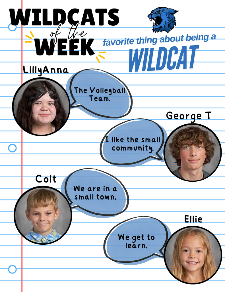 Wildcat of the Week 