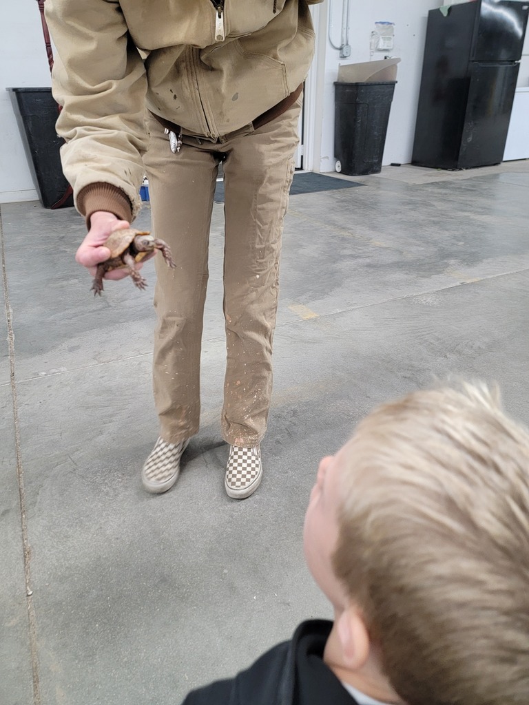 A young boy looking up at someone wearing paint-splattered khakis and checkered slip-on shoes while standing outdoors on concrete.