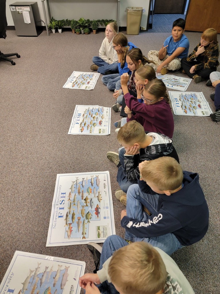 A group of elementary students sitting on the floor in a classroom during a activity, looking at laminated posters or papers placed in front of them.