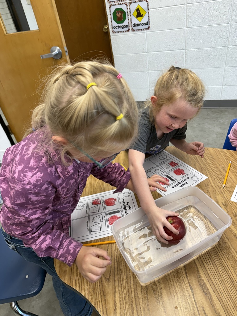 A student in a purple pattern shirt placing a red apple into a plastic container of water, next to an "Apple Investigation" worksheet on a wooden table.