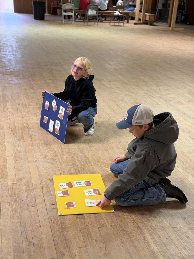 Two elementary students kneeling on the floor interacting with colorful matching boards during an agricultural activity.