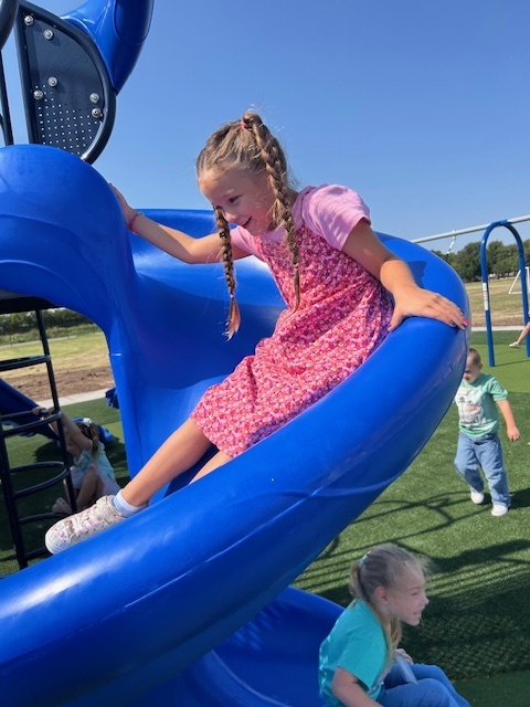A girl slides down a blue slide in a playground. Another child watches. The grass is green.