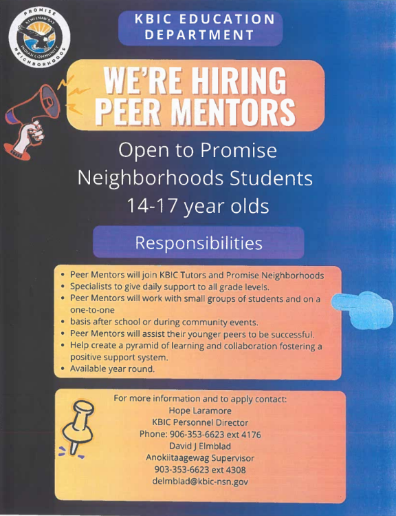 PN mentoring program for students aged 14-17