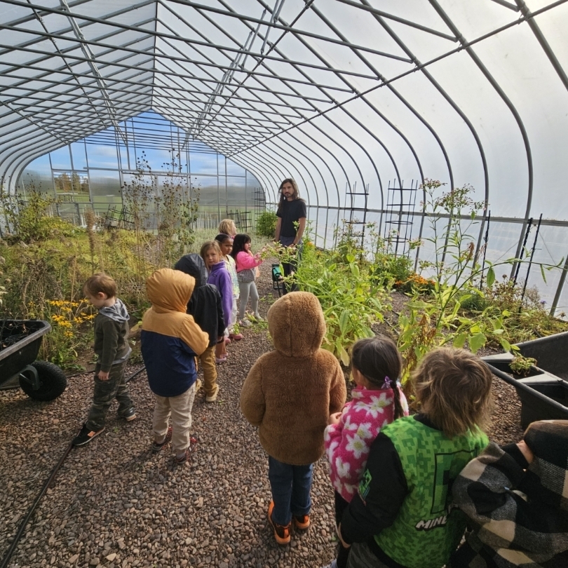 land Grants green house