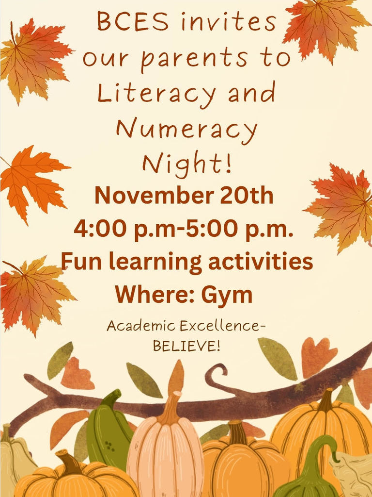 Literacy and Numeracy Night