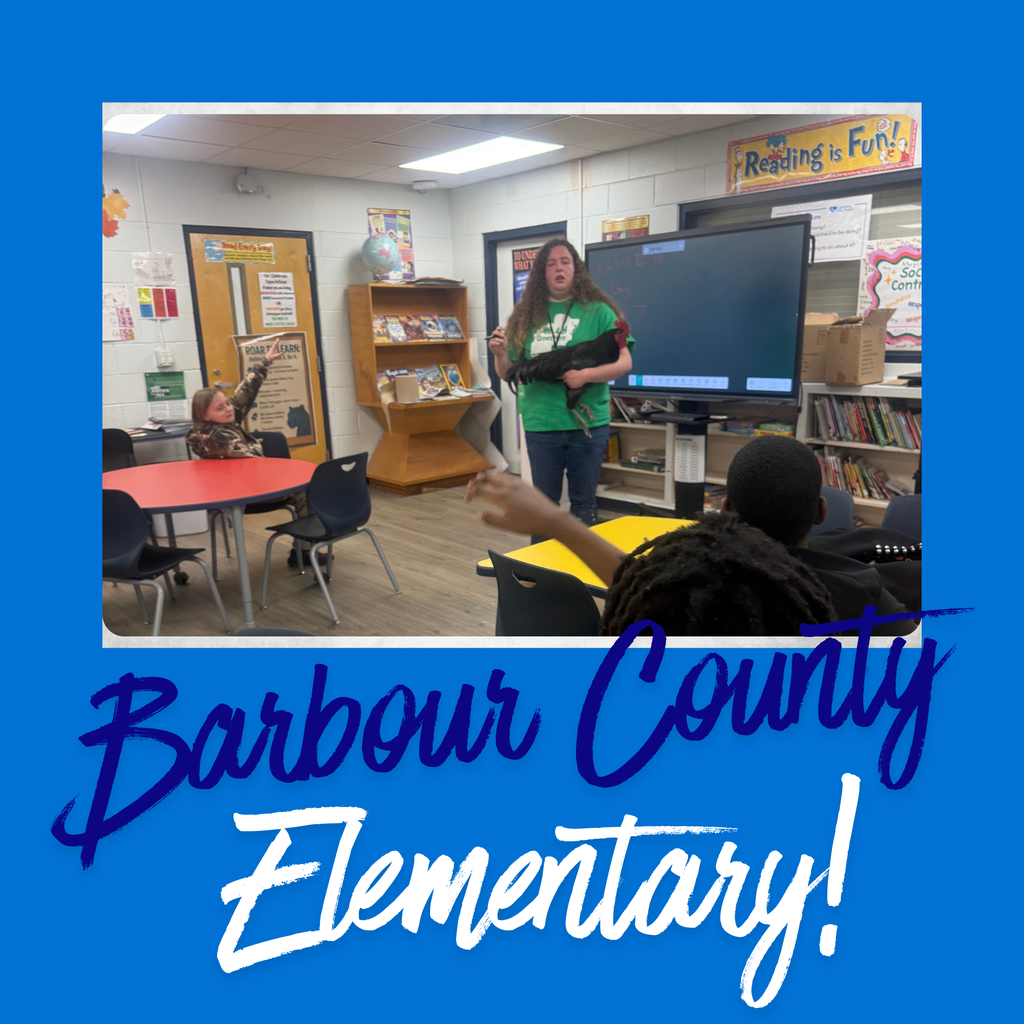 Image of chicken in library