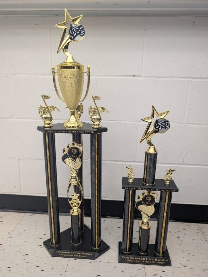 Image of the two awards they received. 