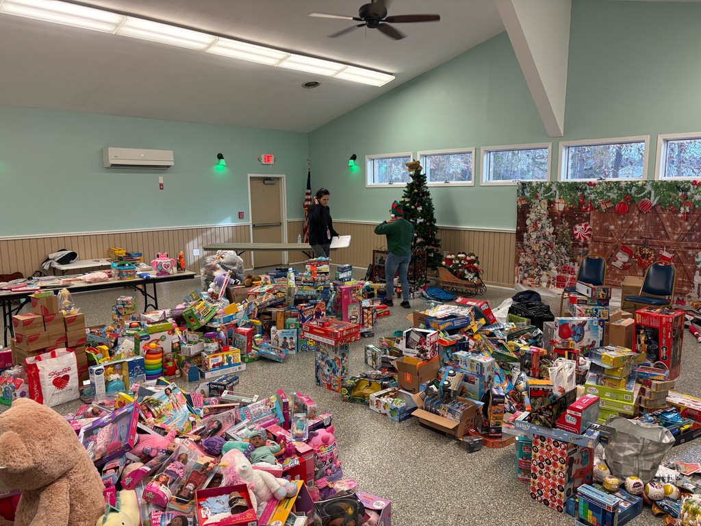 Image of the items collected in the toy drive separated by category on the floor. 