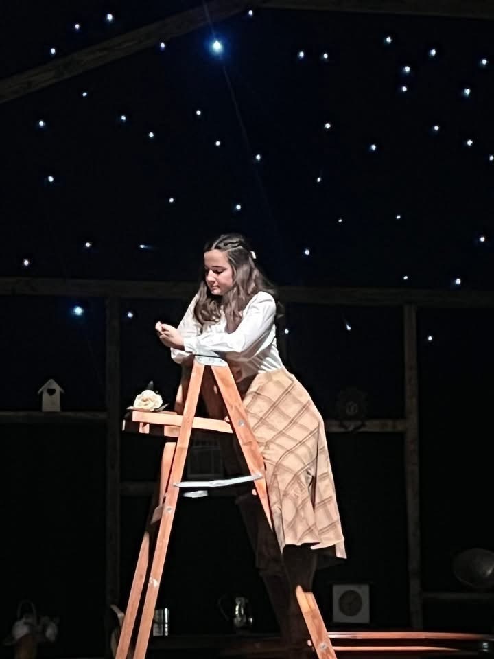 Image of an actor standing on a ladder. 